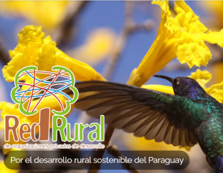 redrural-innovaciones-comerciales